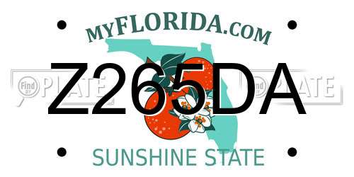 Z265DA Florida License Plate