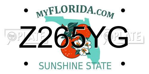 Z265YG Florida License Plate