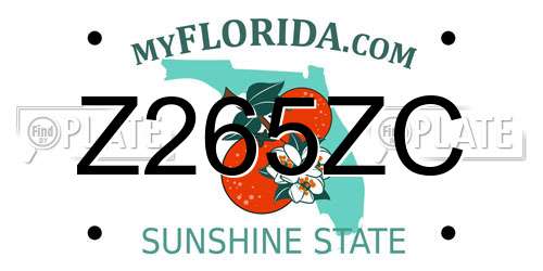 Z265ZC Florida License Plate