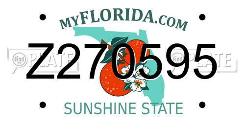 Z270595 Florida License Plate