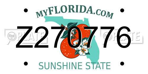 Z270776 Florida License Plate