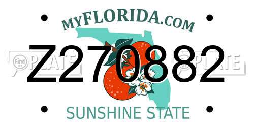Z270882 Florida License Plate