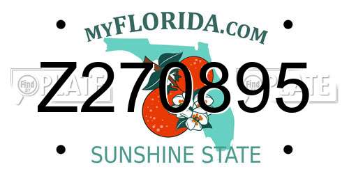 Z270895 Florida License Plate
