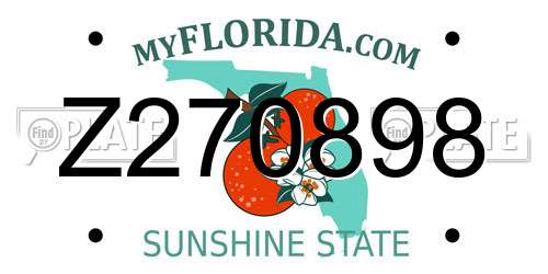 Z270898 Florida License Plate