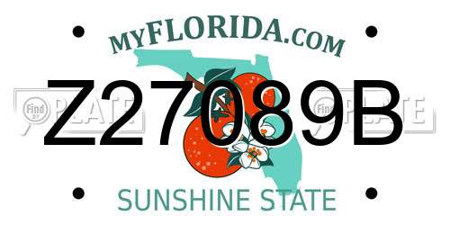 Z27089B Florida License Plate