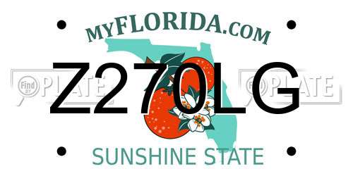 Z270LG Florida License Plate