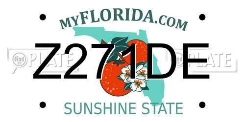 Z271DE Florida License Plate