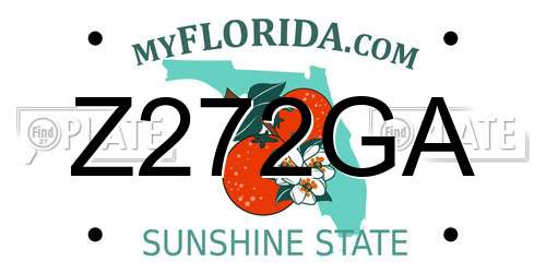 Z272GA Florida License Plate