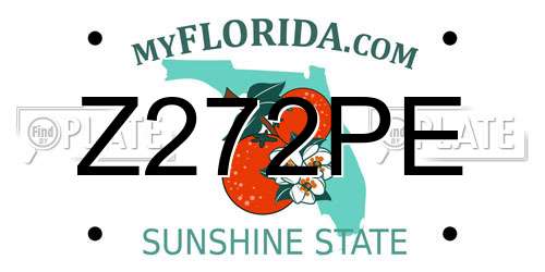 Z272PE Florida License Plate