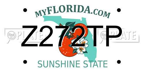 Z272TP Florida License Plate