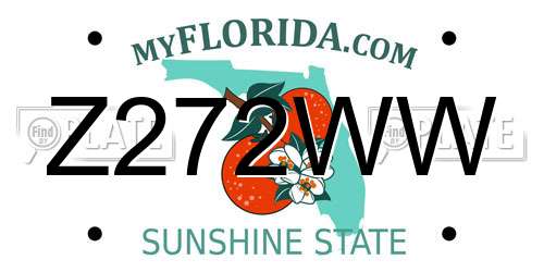Z272WW Florida License Plate