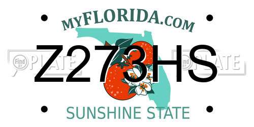 Z273HS Florida License Plate