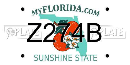 Z274B Florida License Plate