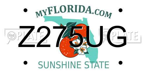 Z275UG Florida License Plate