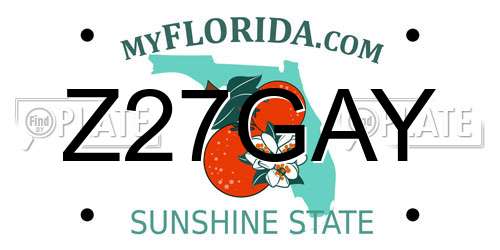 Z27GAY Florida License Plate