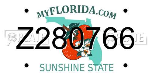 Z280766 Florida License Plate