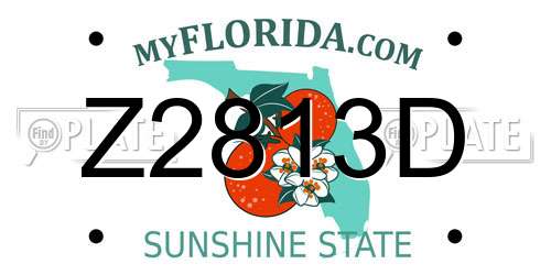 Z2813D Florida License Plate