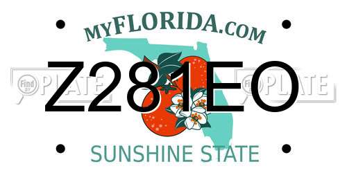 Z281EO Florida License Plate