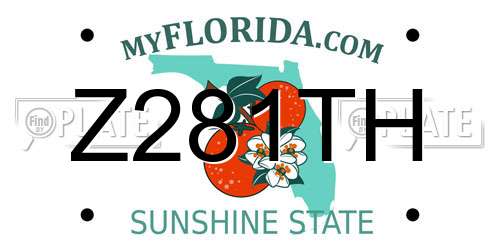 Z281TH Florida License Plate