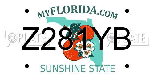 Z281YB Florida License Plate