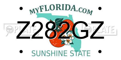 Z282GZ Florida License Plate