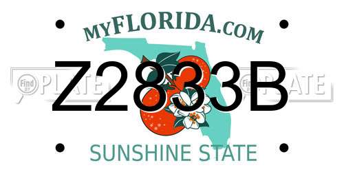 Z2833B Florida License Plate