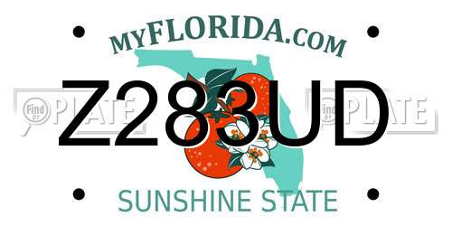 Z283UD Florida License Plate