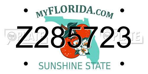 Z285723 Florida License Plate