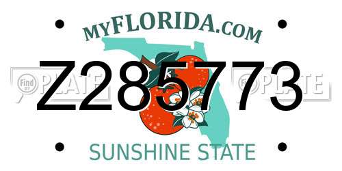 Z285773 Florida License Plate