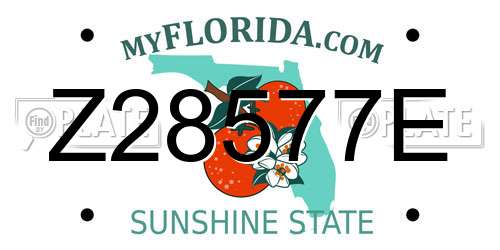 Z28577E Florida License Plate