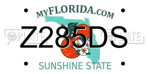 Z285DS Florida License Plate