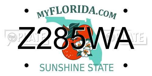 Z285WA Florida License Plate