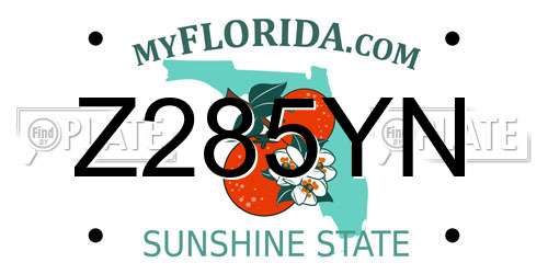 Z285YN Florida License Plate