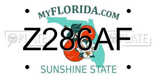 Z286AF Florida License Plate