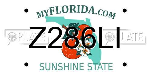 Z286LI Florida License Plate