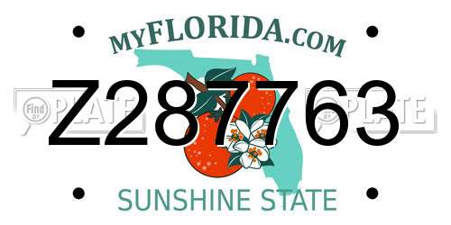 Z287763 Florida License Plate