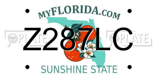 Z287LC Florida License Plate
