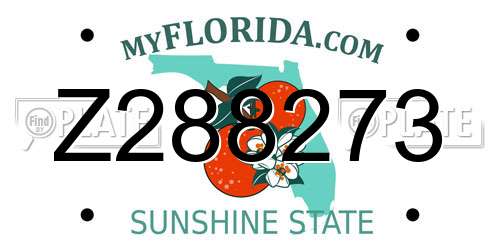 Z288273 Florida License Plate