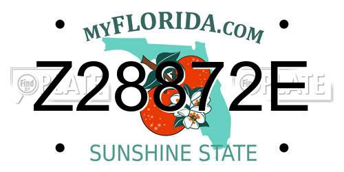 Z28872E Florida License Plate