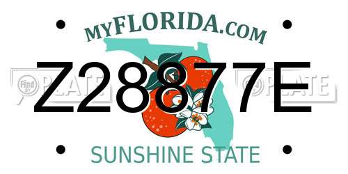 Z28877E Florida License Plate