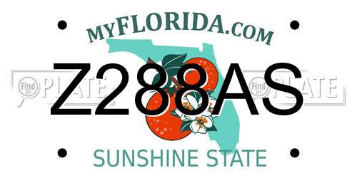 Z288AS Florida License Plate
