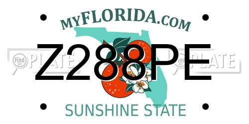 Z288PE Florida License Plate