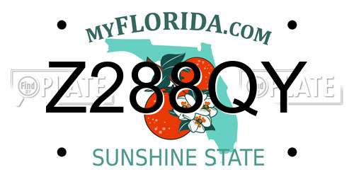 Z288QY Florida License Plate