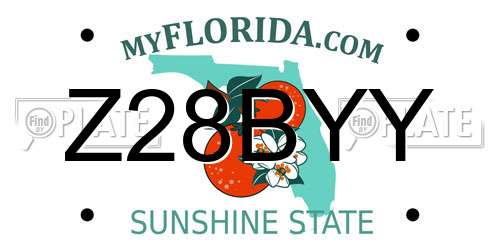 Z28BYY Florida License Plate