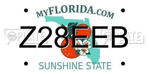 Z28EEB Florida License Plate