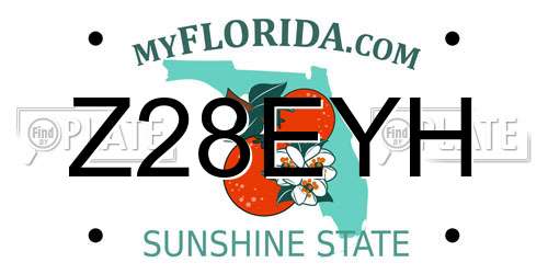 Z28EYH Florida License Plate