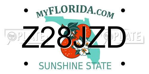 Z28JZD Florida License Plate