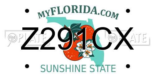 Z291CX Florida License Plate