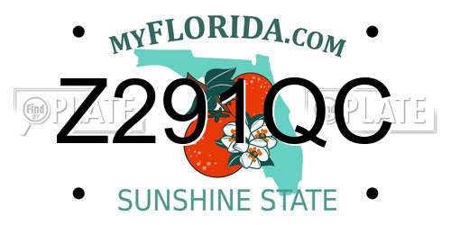 Z291QC Florida License Plate