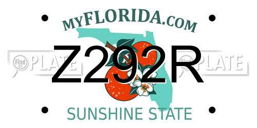 Z292R Florida License Plate